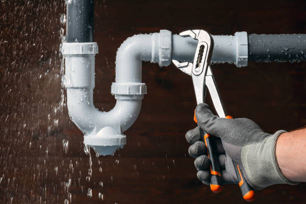 Professional Emergency Plumber technician working in Webster, FL